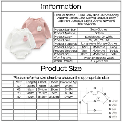 Cute Baby Girls Clothes Spring Autumn Cotton Long Sleeved Bodysuit Baby Bag Fart Jumpsuit Sibling Outfits Newborn Infant Clothes